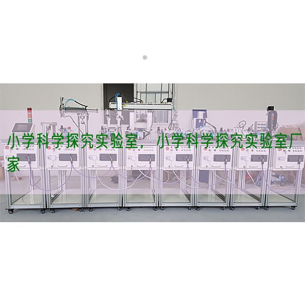小學(xué)科學(xué)探究實(shí)驗(yàn)室，小學(xué)科學(xué)探究實(shí)驗(yàn)室廠家(圖1)
